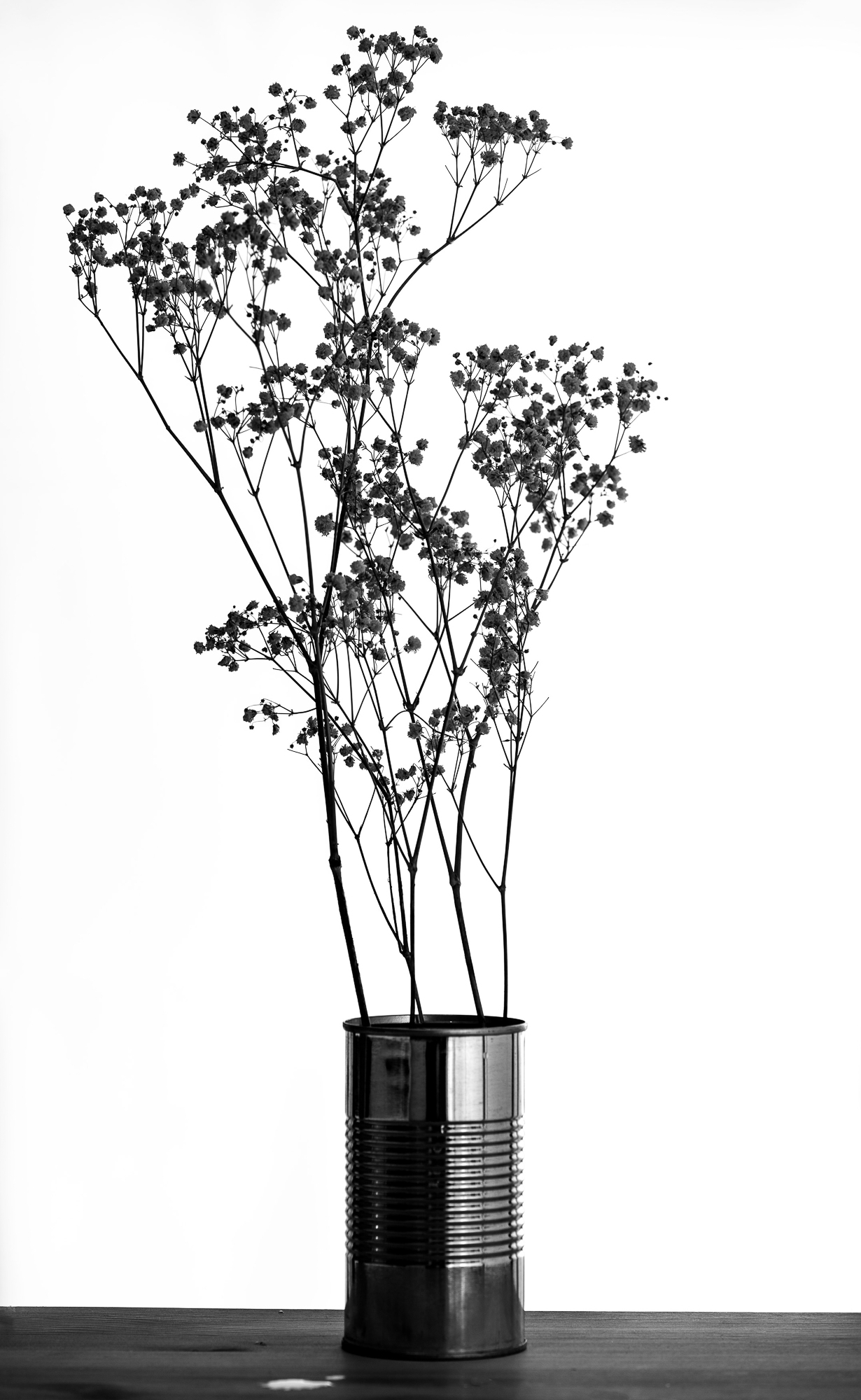 Minimalismo en conserva