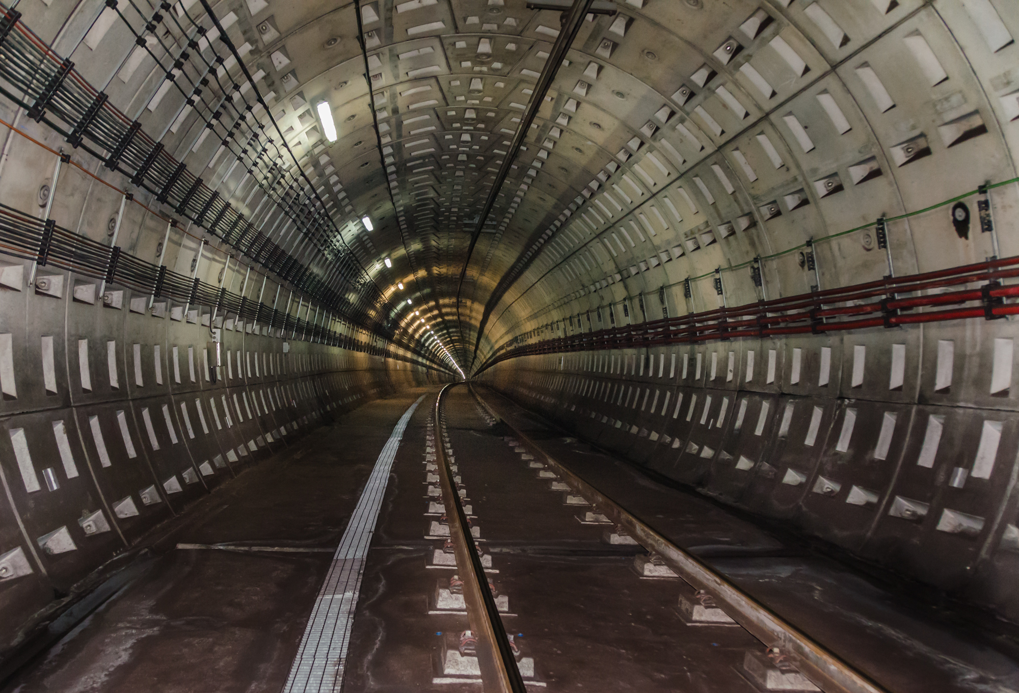 Dentro de la serpiente