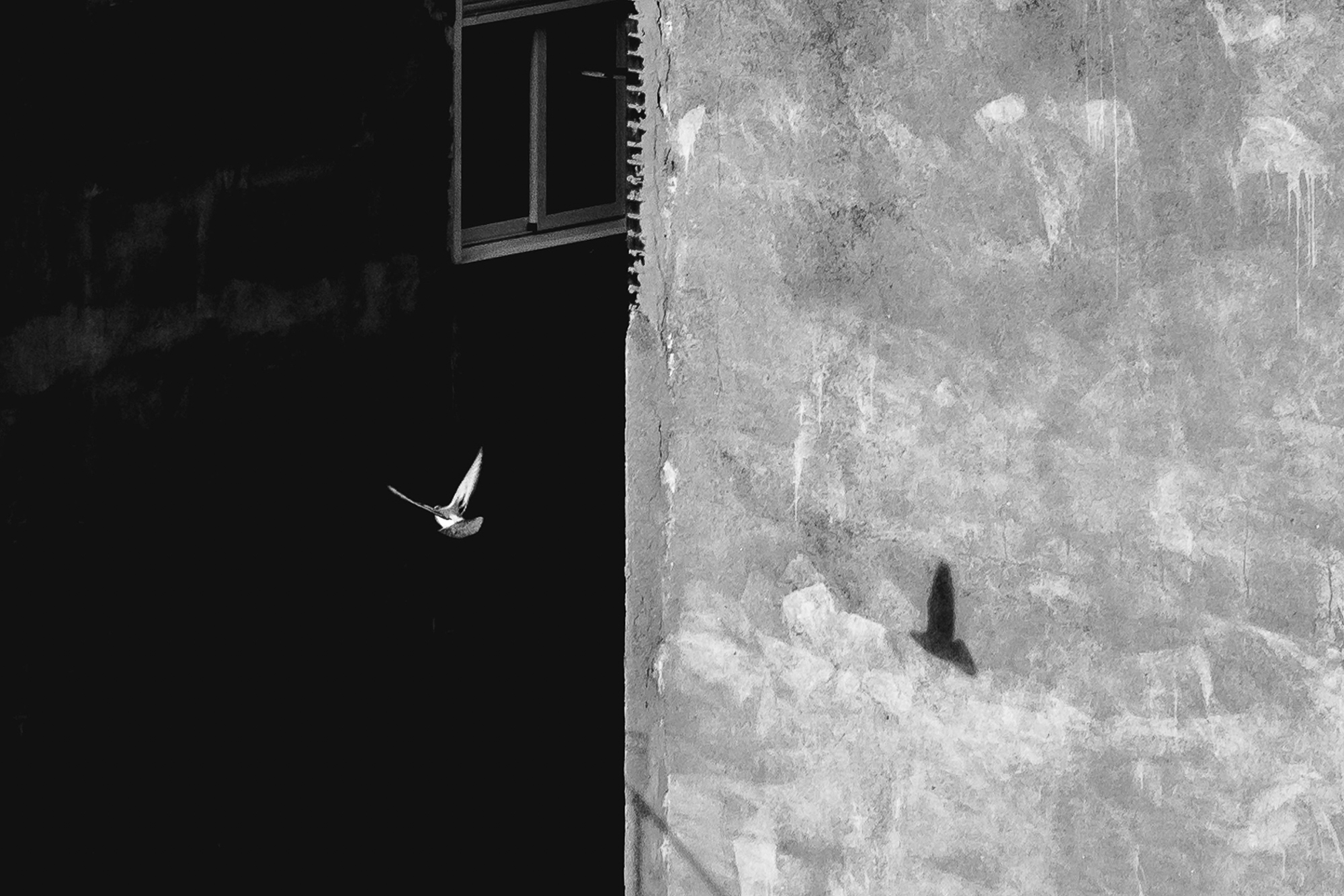 Luces y Sombras Luces y Sombras