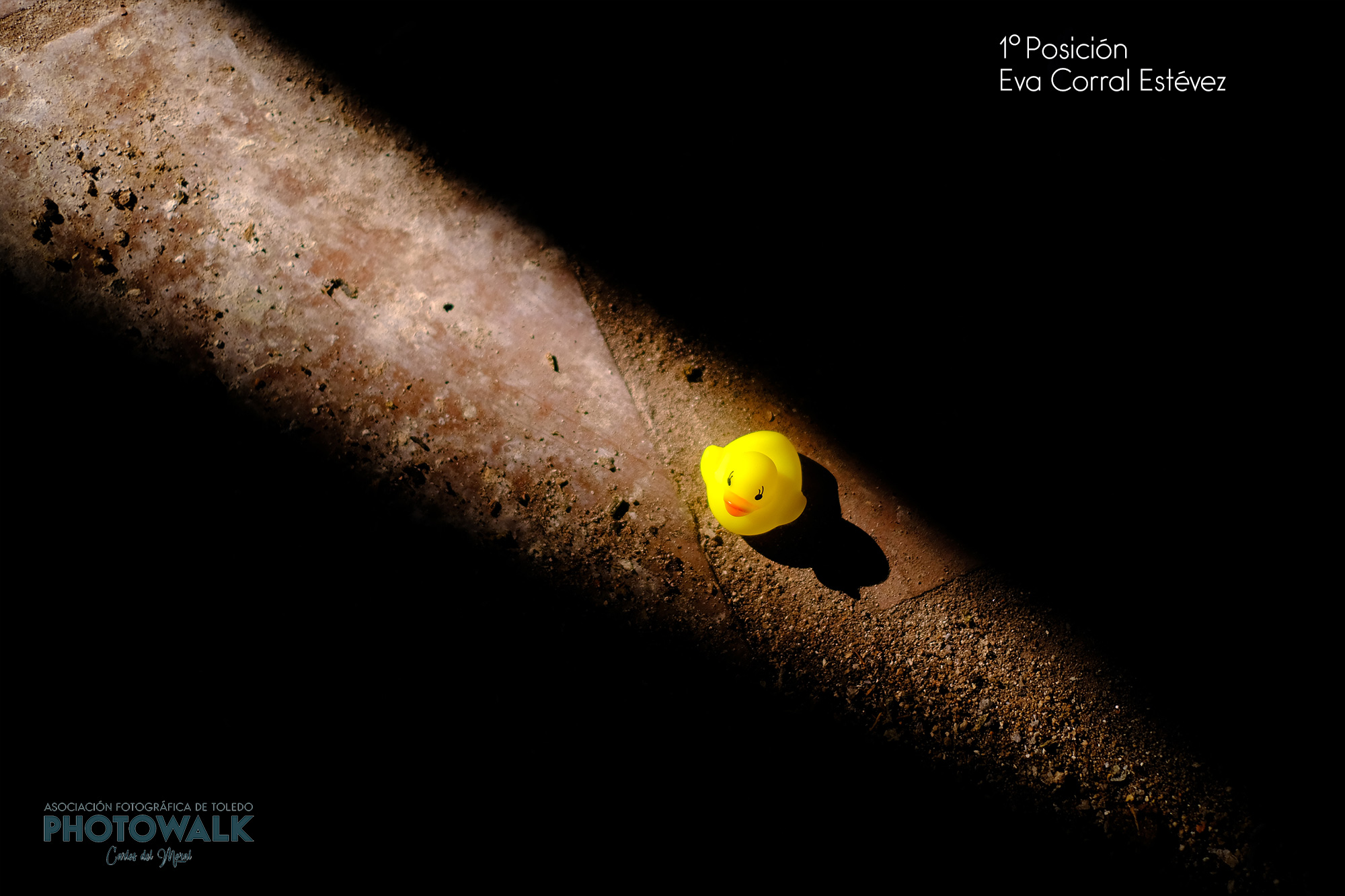 Ganadores PHOTOWALK 2017