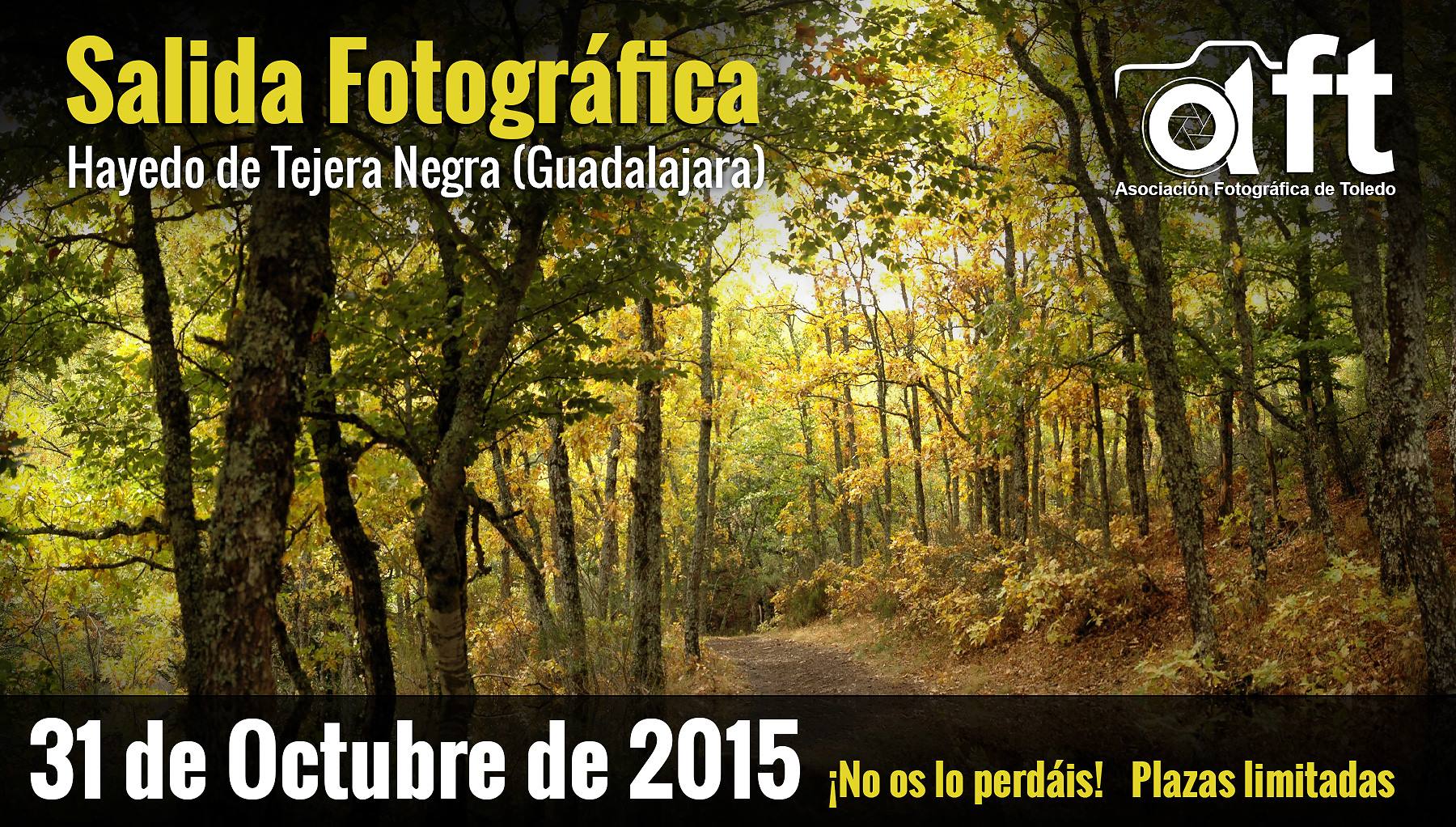 Salida Fotográfica Hayedo de Tejera Negra