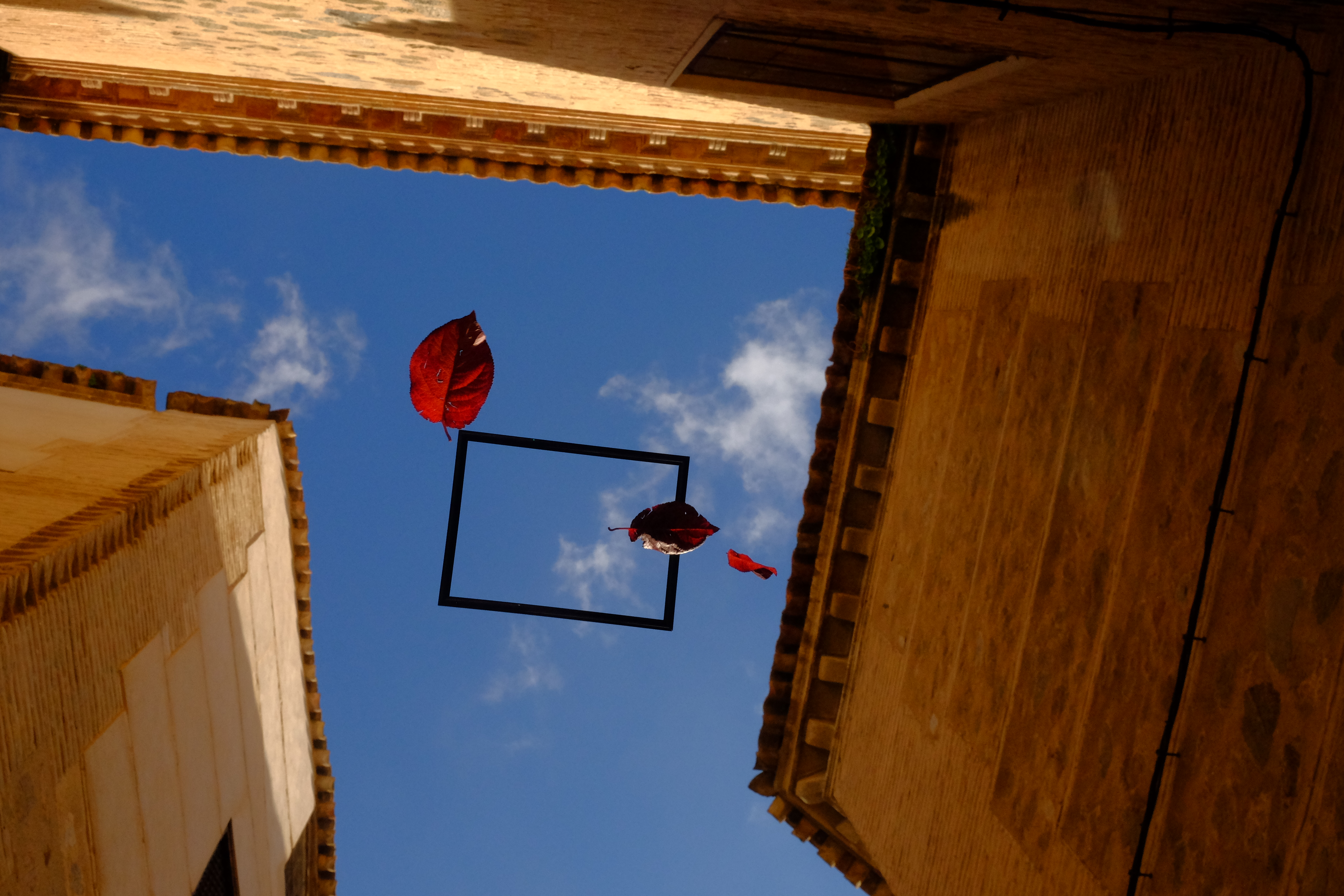 Ganadores PHOTOWALK 2018