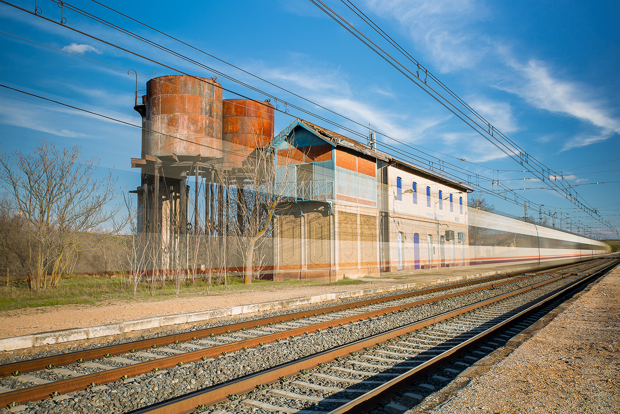 Tesoro Manchego Tesoro Manchego