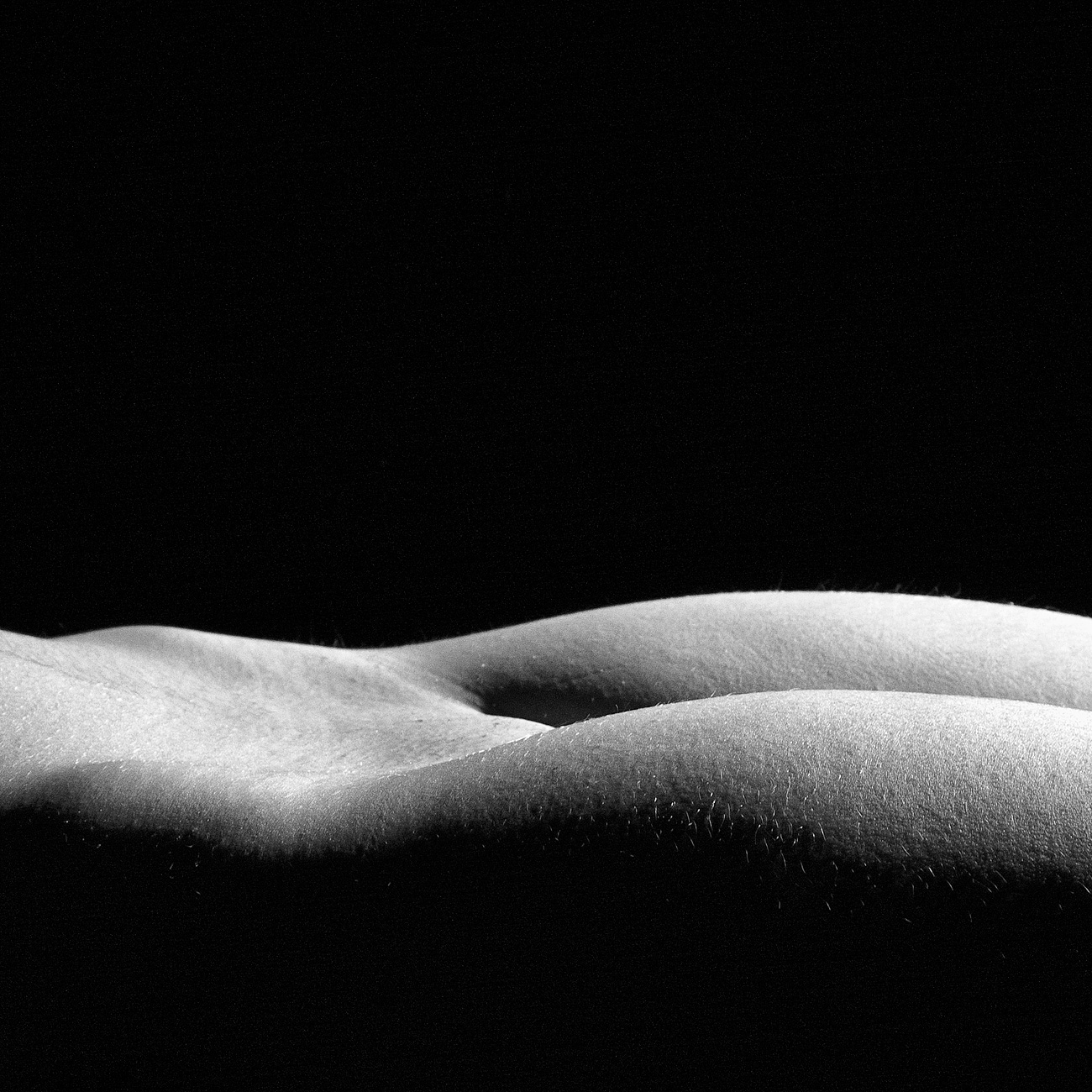 Ganadores del Reto de Enero 2015. PIEL